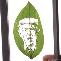All About Laser Engraving Leaves: A Guide to Leaf Laser Engraving